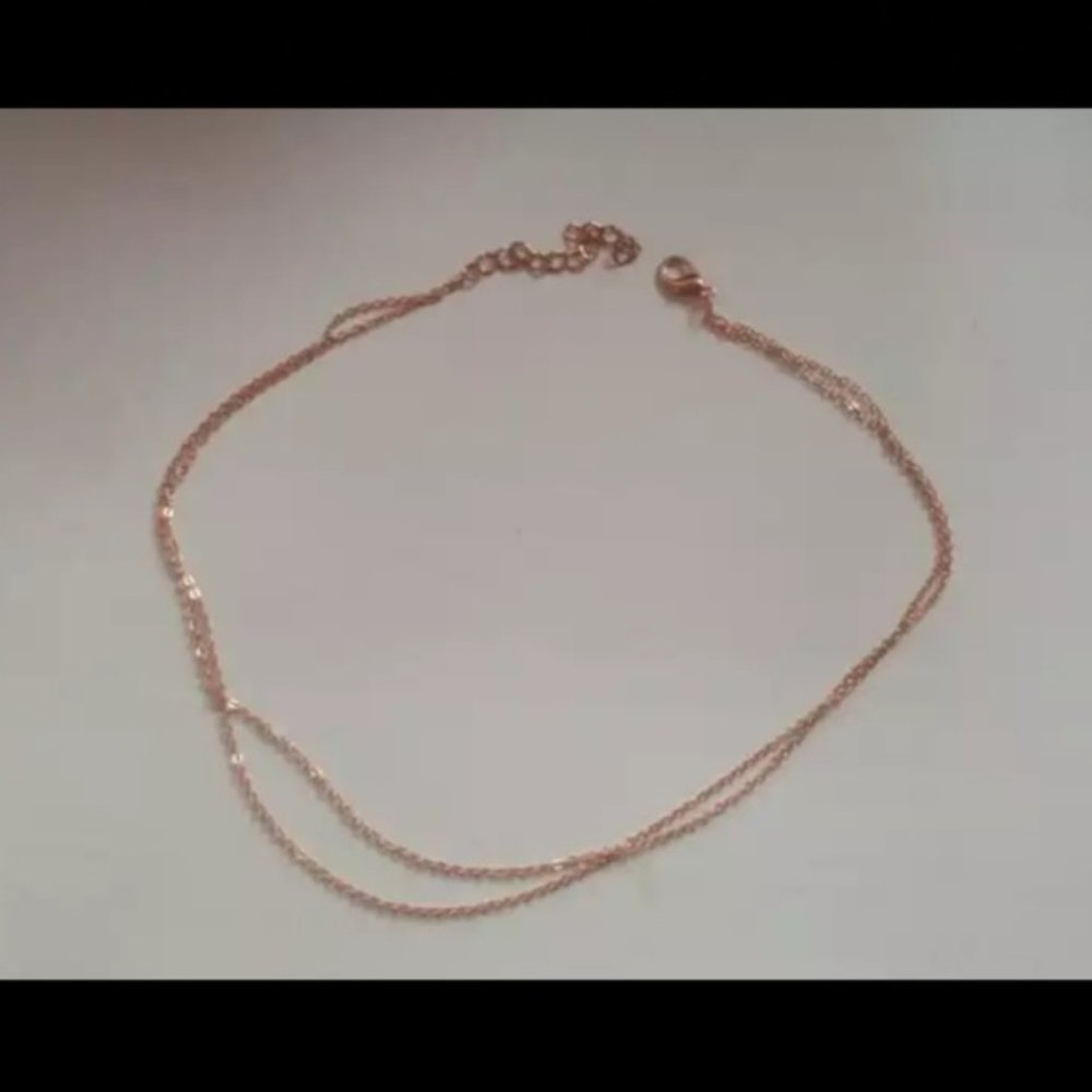 🍒2/$25 Simple Double Chain Choker - Picture 3 of 3